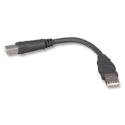Belkin Components USB A b Device Daisy Chain For USB Hub 6 Inches