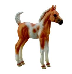 Horses-pinto Foal Standing Palomino - M