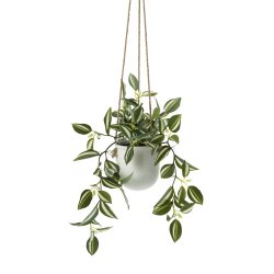 @home Hanging Ceramic Pot With Zebrina Plant 52CM