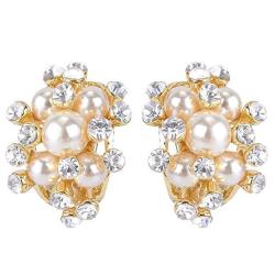Ever Faith Austrian Crystal Cream Simulated Pearl Bridal Cluster Pierced Stud Earrings Clear Silver-tone