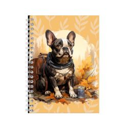 Product image - {main}