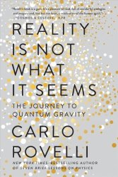 Reality Is Not What It Seems - The Journey To Quantum Gravity Paperback