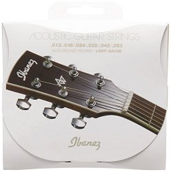 Ibanez IACS6C 6-STRING Light Acoustic Guitar Strings