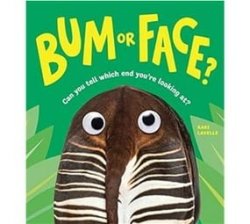 Bum Or Face