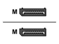 OEM DisplayPort 1m Cable