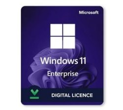 Microsoft Windows 11 Enterprise - Digital Email