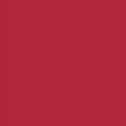 Textured Cardstock - Pomegranate 12X12 10 Sheets