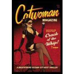 The Catwoman Officially Licenced Dc Comics Poster With Black Frame