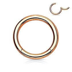 BODYJ4YOU Hinged Clicker Nose Hoop Segment Ring 16G 6MM Rose Goldtone Surgical Steel Sleeper Earrings Piercing