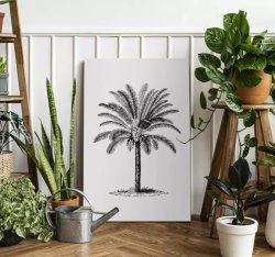 Palm Tree Ink Silhouette Tree Canvas Print