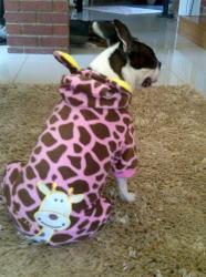 Winter Doggy Onesie - Pink Giraffe With Hoody