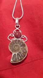Ammonite Fossil Pendant And Chain