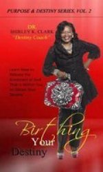 Birthing Your Destiny - Learn How To Release The Greatness Of God Within You To Obtain Your Destiny. Paperback