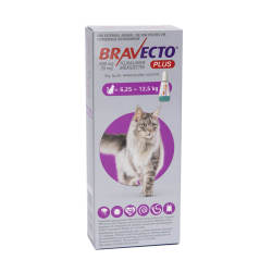 Bravecto Plus Tick Flea And Worm Control For Cats - 6.KG-12.5KG Large