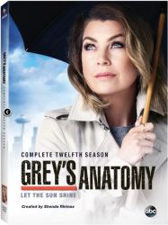 Grey's Anatomy Complete Season 12 DVD