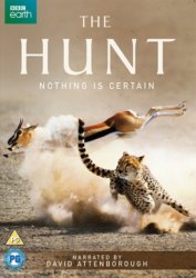 Hunt DVD