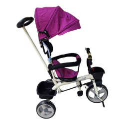3 In 1 Travel System That Turns Into A Trike