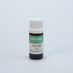 Essential Oil Tea Tree 10ML