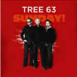 Tree63 - Sunday