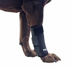 Labra Dog Canine Front Leg Compression Wrap Sleeve Protects Wounds Brace Heals And Prevents Injuries And Sprains Helps With Loss Of Stability Caused By