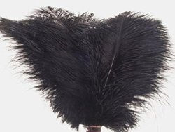 20PCS New Style Real Natural 12-14 Inch 30 35CM Ostrich Feathers Great Decorations Black