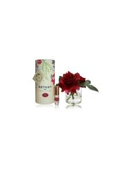 3 Beauty Roses & Classic Rose Fragrance Gift Set