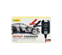 Andowl Q-DP077 12V Car Battery Charger