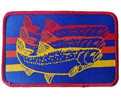 Trout Striped Fly Fishing Embroidered Patch Iron On 3X5 Fisherman Br