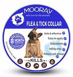 Mooray Dog Flea Collar Natural Ingredients - Adjustable & Waterproof Dog Collar 8 Month Protection