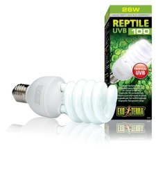 - Repti Glo Compact Tropical Terrarium Lamp 5.0 - 26W