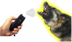 Ultrasonic Dog And Cat Chaser
