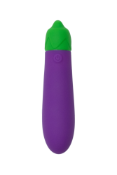 Eggplant Bullet Vibrator
