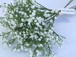 DM Dalamoda 10PCS Artificial Flowers 21" Babys Breath Gypsophilia's Wedding Party Decoration Flowers Diy Home Garden Flower Stems Can Be Cut Short White