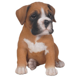 Boxer Puppy Pet In Gift Box