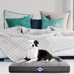 Sealy Cushy Comfy Dog Bed Sherpa Modern Grey Medium