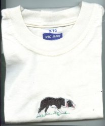 Kids Tshirt. Cream . Border Collie 9--10years