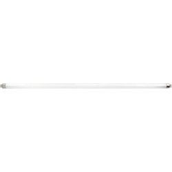 Radiant T5 Fluorescent Lightbulb - 4W G5 Cool White