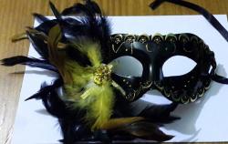 Fancy Dress Facemasks With Feathers