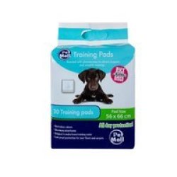 Pet House Training Pads - Scented - 56CM X 66CM - 30 Pack - 2 Pack