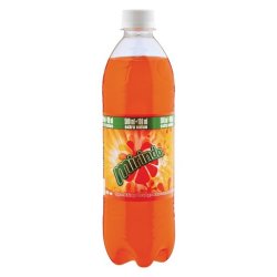 Orange Plastic Bottle 600ML