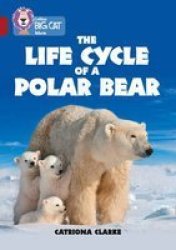 The Life Cycle Of A Polar Bear - Band 14 RUBY Paperback