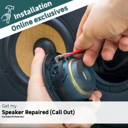 Repairs: Wireless Speaker Repair Call Out And Assessment
