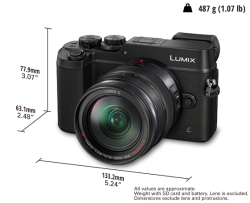 Panasonic Lumix G DMC-GX8AGC Mirrorless CAMERA+12-35MM F 2.8 Lens