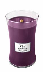 Woodwick Scented Candle With Pluswick Innovation Paraffin Spiced Blackberry Large Hourglass