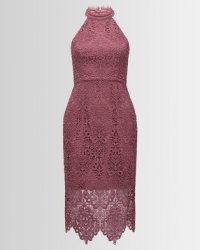 beverley lace pencil dress