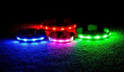WAGZ4LIFE Early Safety LED Dog Collar - Rechargeable - Water Resistant - Light Up Or Flashing High Visibility - Looks Awesome - Includes USB