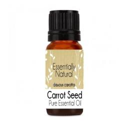 Carrot Seed Pure Essential Oil - 10ML
