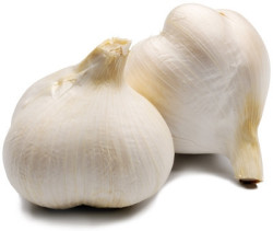 Garlic - Elephant Garlic Cloves Bulbs - Allium Ampeloprasum - Grea... - 100 Cloves Elephant Garlic
