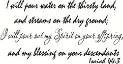 Isaiah 44:3 Wall Art I Will Pour Water On The Thirsty Land And Streams On The Dry Ground I Will Pour Out My Spirit
