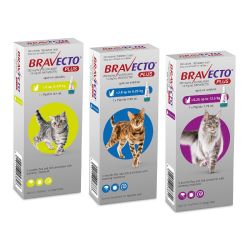 Bravecto Plus Spot-on For Cats - Large 6.25KG - 12.5KG